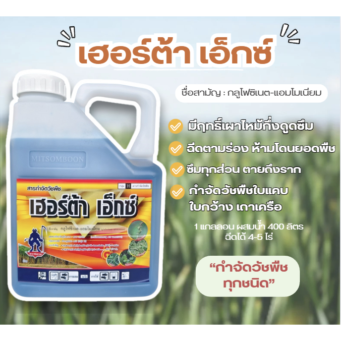 เฮอร์ต้า เอ็กซ์ ตราปีศาจ เผาไหม้กึ่งดูดซึม กำจัดวัชพืชตายยาก ฉีดตามร่องได้เลย