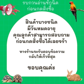 อาหารนก BOOMZ เกรดพรีเมียม บำรุงขนและเสริมภูมิคุ้มกัน สำหรับนกแก้ว นกหงส์หยก เลิฟเบิร์ด ขนาด1กิโลกรัม
