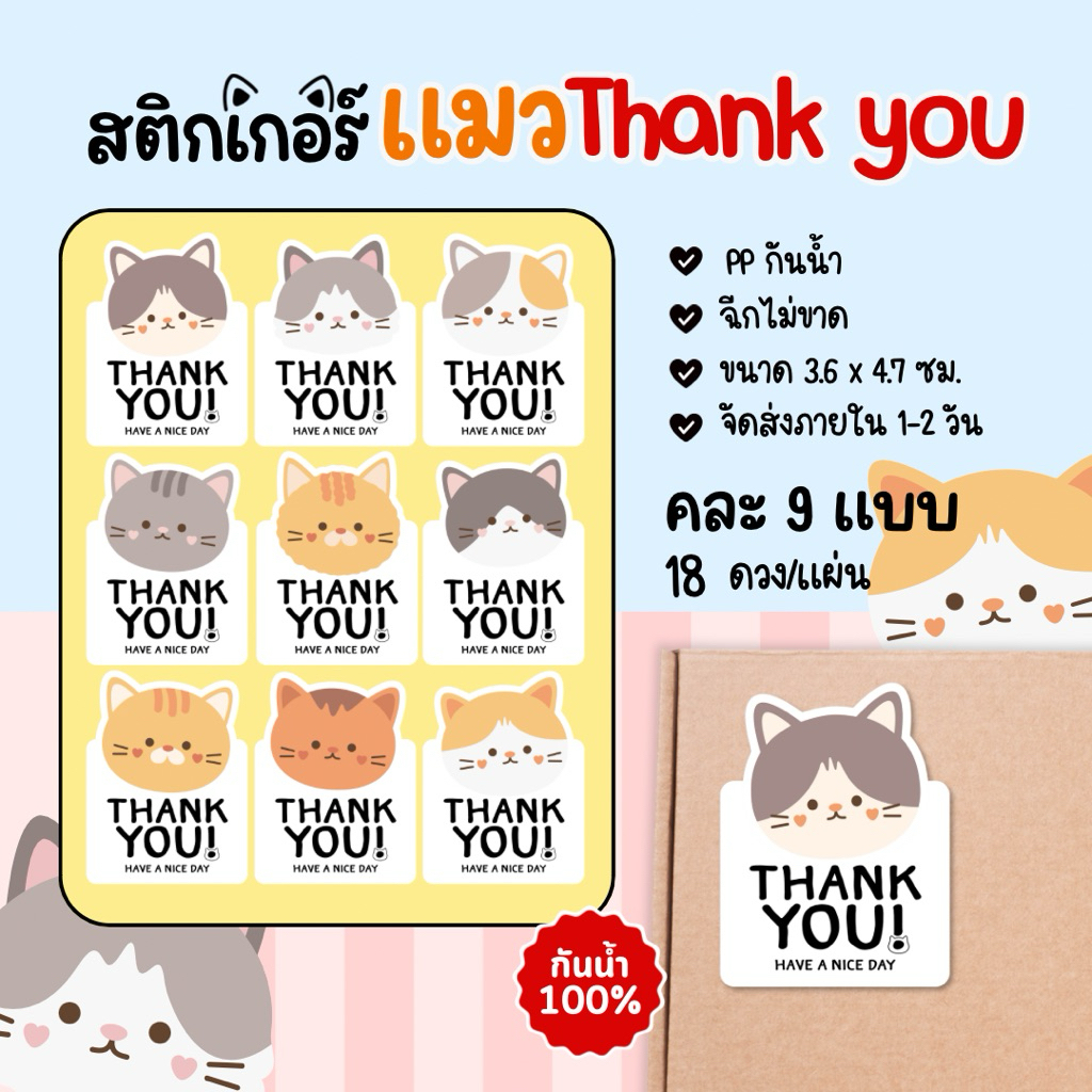 สติกเกอร์ Thank you ขอบคุณ ลายแมว กันน้ำ 100% 18ดวง/แผ่น