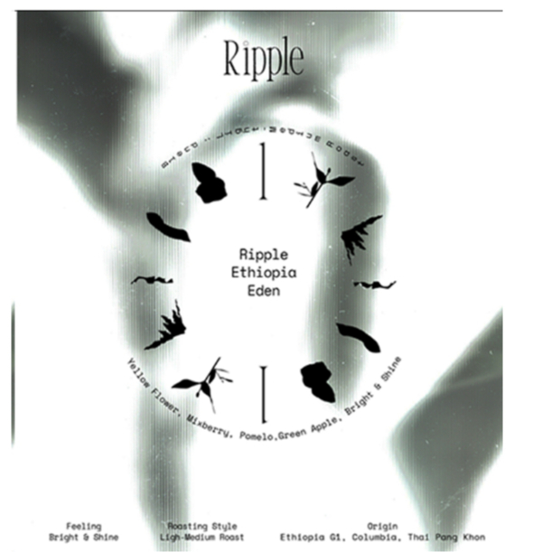 Ripple เมล็ดกาแฟคั่วกลาง “Ripple Ethiopia Eden”