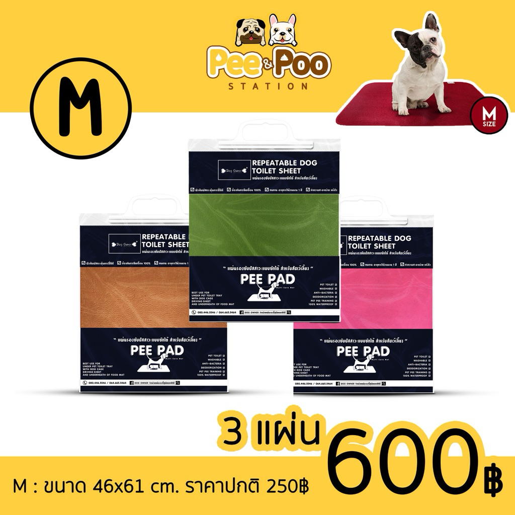 แผ่นรองฉี่แบบซักได้ 💥 โปรไซส์ M : 3 แผ่น 600 💥