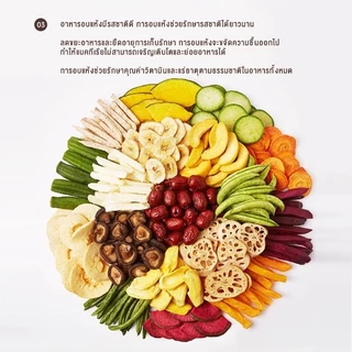 LENODI เครื่องอบผลไม้แห้ง แบบ 5 ชั้น ใหญ่ เครื่องถนอมอาหาร ด้วยลมร้อน อบผลไม้แห้ง อบเนื้อแห้ง
