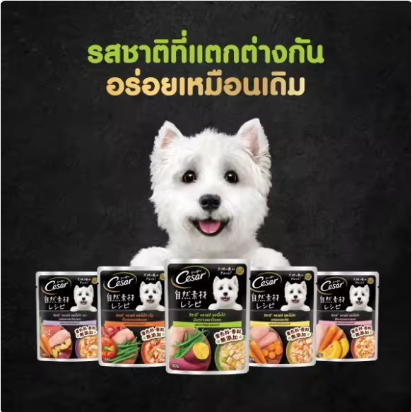 Cesar ซีซาร์ คราฟต์ อาหารเปียกสุนัข ขนาด 60g (ยกโหล) คละรส