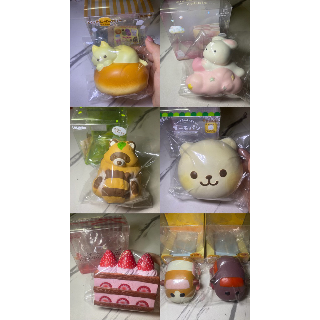 สกุชชี่แบรนด์ IBOOM …