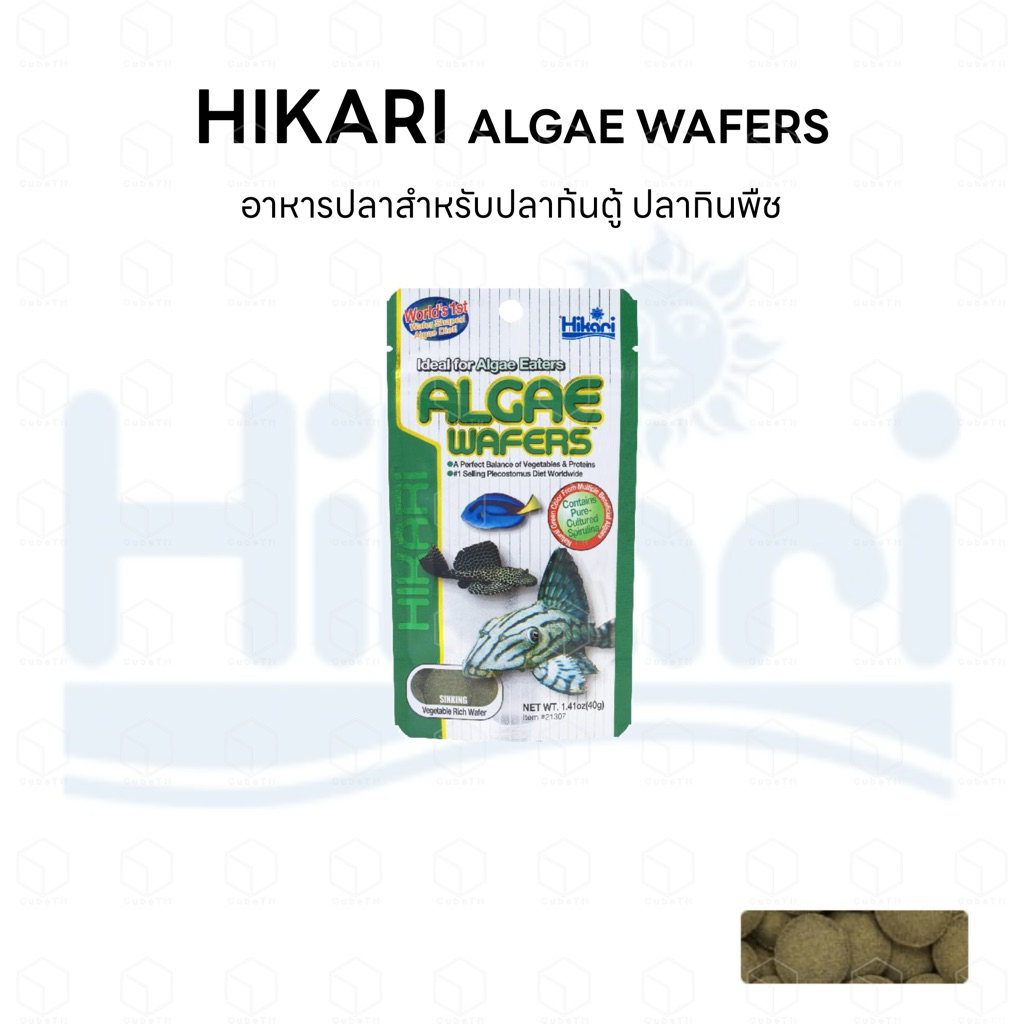 Hikari Algae Wafers อาหารปลากินตะไคร่
