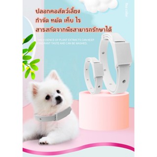 PP-094 ปลอกคอกำจัดเห็บหมัด 🐾 สำหรับสุนัขและแมว ใช้งานง่าย พร…