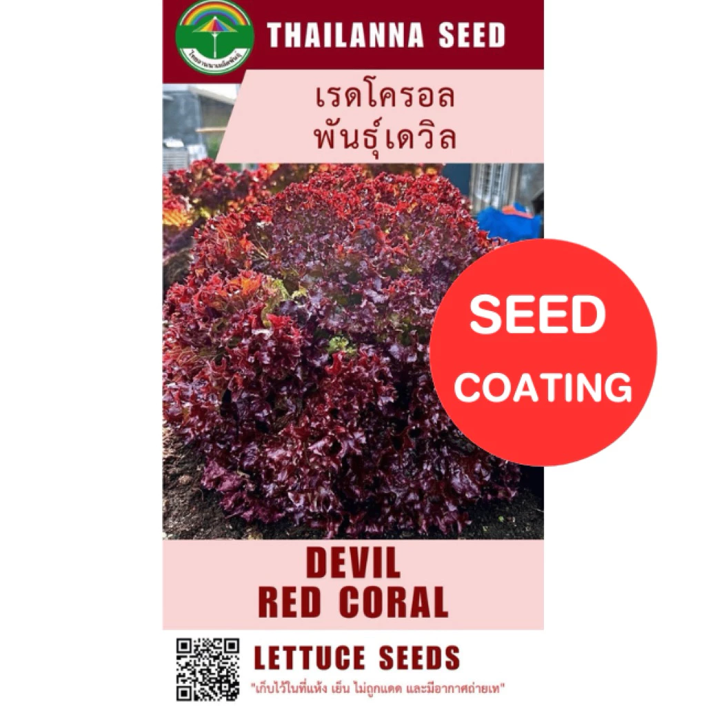 เมล็ดพันธุ์ผักสลัด เรดโครอล พันธุ์เดวิล ( ขนาด 0.5 กรัม ) ( เมล็ดเคลือบ ) รหัสสินค้า SSC 1034