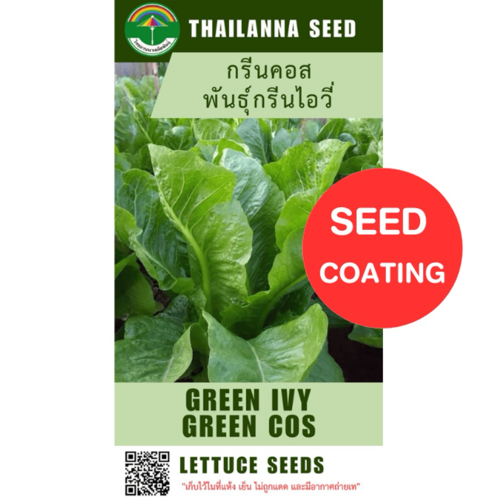 เมล็ดพันธุ์ผักสลัด กรีนคอส พันธุ์กรีนไอวี่ ( ขนาด 0.5 กรัม ) ( เมล็ดเคลือบ ) รหัสสินค้า SSC 1016