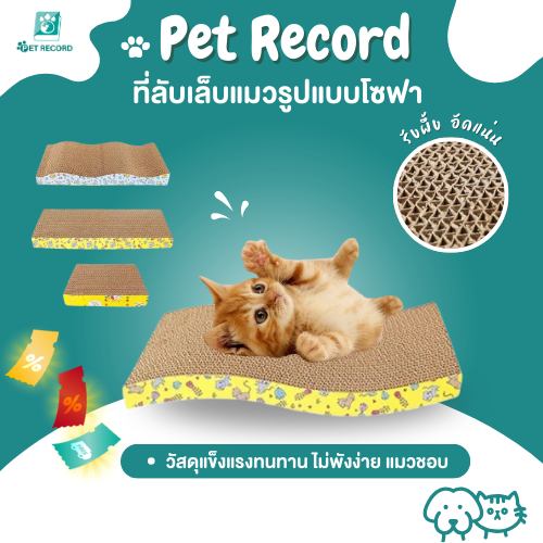 Pet Record พร้อมส่ง โซฟาที่ลับเล็บแมว แถมฟรี! กัญชาแมว มีชำระเงินปลายทาง ของใช้น้องแมวโซฟาลับเล็บแมว