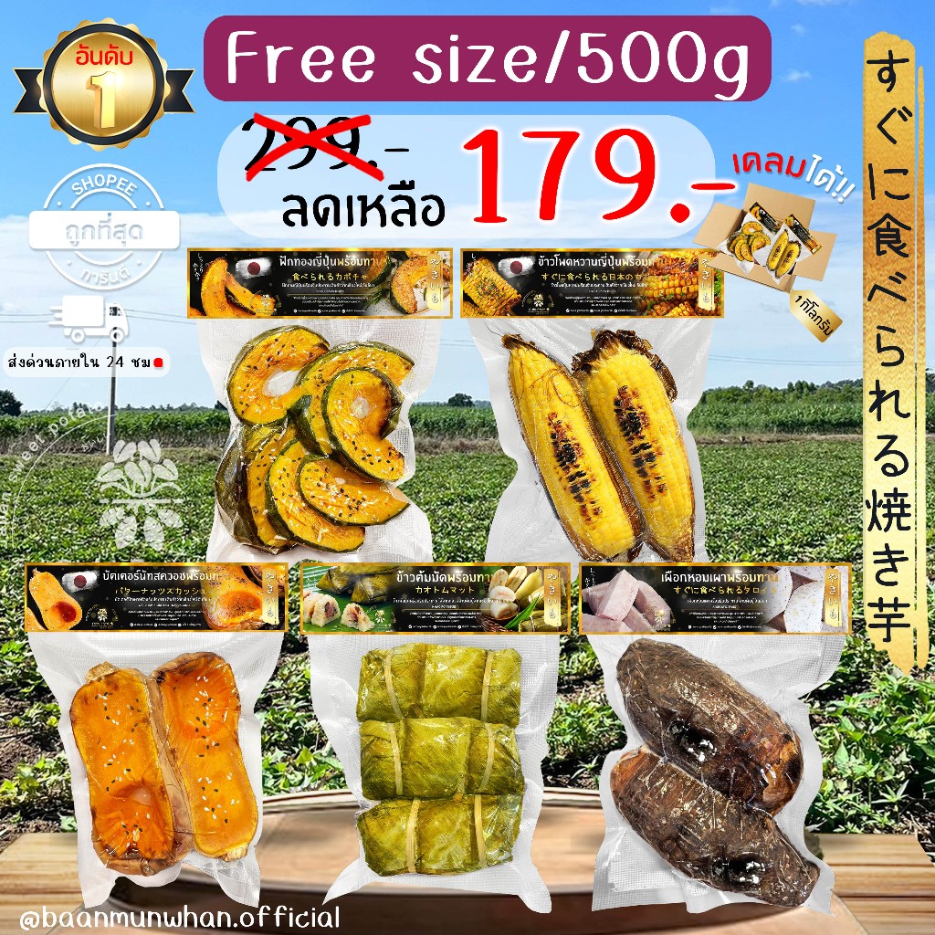 Oishi-Fresh รวมสายพร้อมทาน 🇹🇭ปลูกไทย🇹🇭 เผาพร้อมทาน🍠เนื้อเหลือง นุ่ม หอม ฉ่ำ หวาน ธรรมชาติ หวาน จัดส่