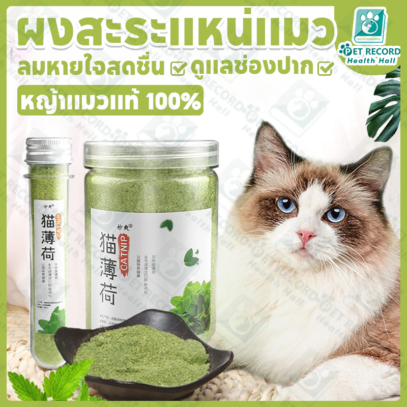 แคทนิปแมว กัญชาแมว แบบผงบดละเอียด😺 จาก catnip 100% หญ้าแมวบำรุงแมวอ้วน ตำแยแมว ราคาถูก