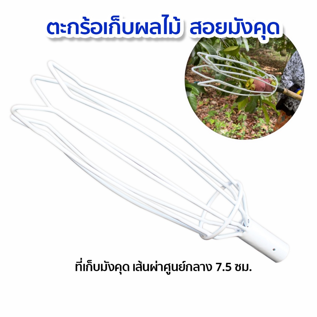 ตะกร้อสอยมังคุดสีขาว ที่สอยมังคุด PVC ที่เก็บมังคุดตราค้างคาว ที่สอยผลไม้ ที่เก็บผลไม้