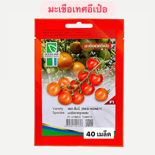 มะเขือเทศอีเป๋อ เรดฮันนี่ (40 เมล็ด) ซีดไลน์