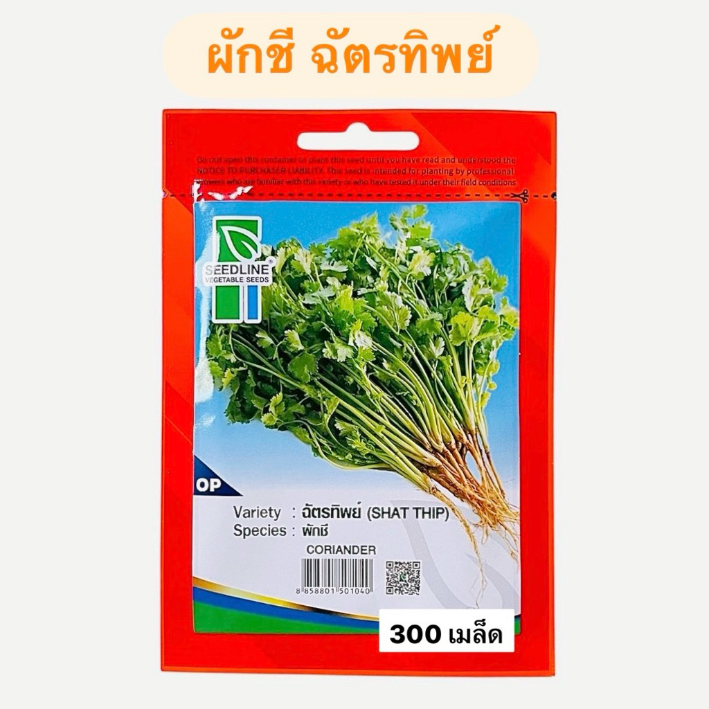 ผักชี ฉัตรทิพย์ (300 เมล็ด) ซีดไลน์