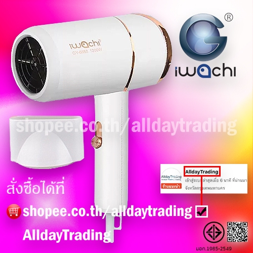 💝รับประกัน 1 ปี💝IWACHI ไดร์เป่าผมขนาดพกพา ปรับลมได้ 3 ระดับ ผมแห้งไว ไม่ทำลายเส้นผม