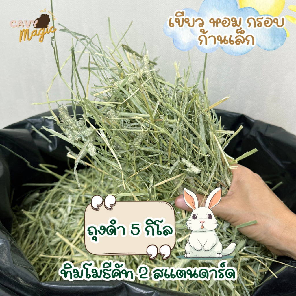 NEW หญ้ากระต่าย แกสบี้ หญ้าทิโมธีสแตนดาร์ด ร่อนฝุ่นแบบ 5 โลถุงดำ และถุงซิป ก้านเล็กใบเยอะนิ่มไม่แข็ง