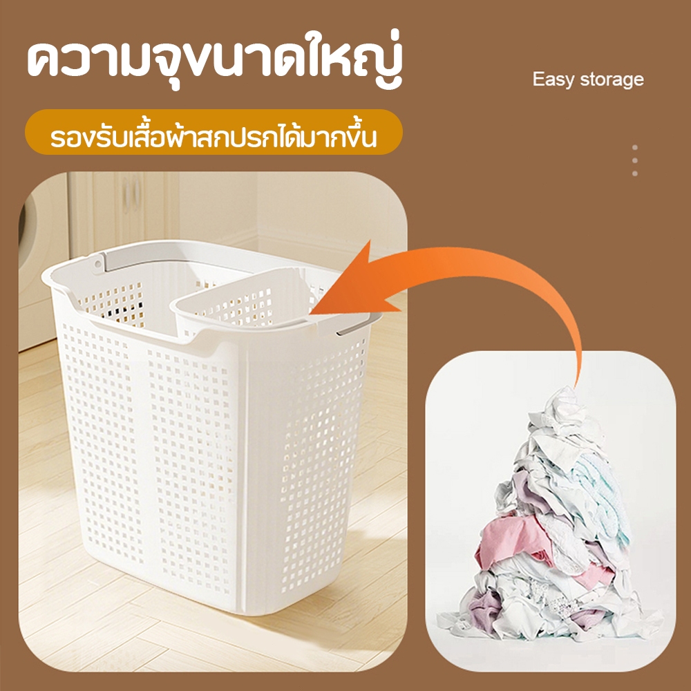 รูปภาพ 4