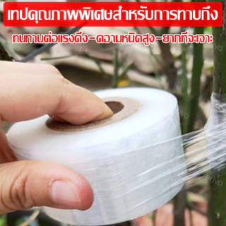 เทปพันกิ่งไม้ เทปพันกิ่งทาบ เทปพันตา หน้ากว้าง 3,4,5 ซม หนา ทนทาน คุณภาพดี ส่งของทุกวัน ส่งของจากประเทศไทย