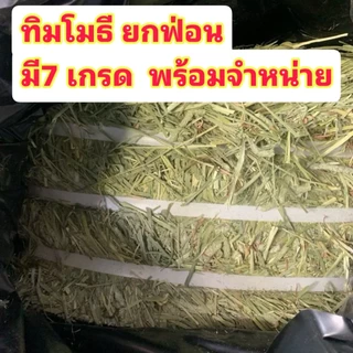 🐰หญ้ากระต่ายทิมโมธียกฟ่อน มีทั้งหมด 7เกรด เลือกซื้อได้ตามความต้องการนะคะ