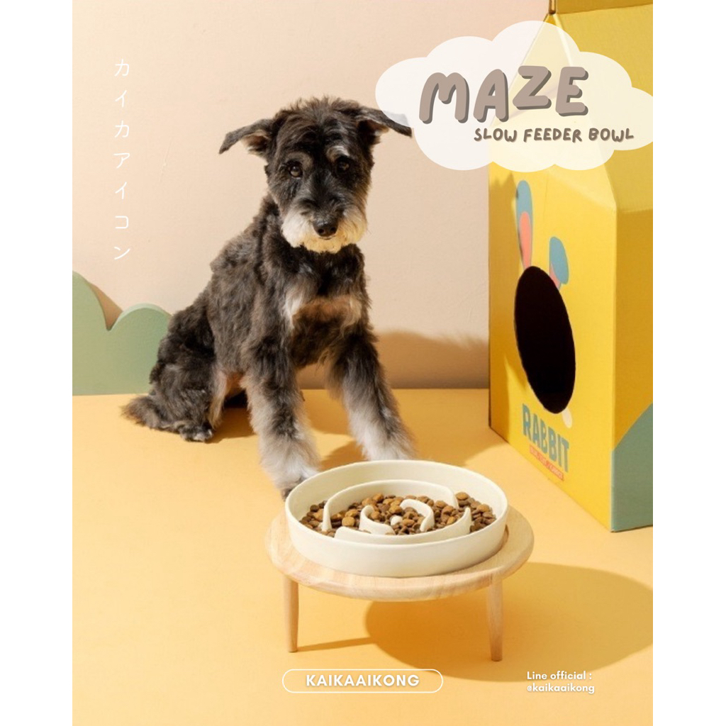 MAZE Slow Feeder Bowl ชามกินช้า ชามกันสำลัก ชามชะลอการกิน ชามสัตว์เลี้ยง ชามเซรามิก ชามสุนัข ชามแมวยกสูง