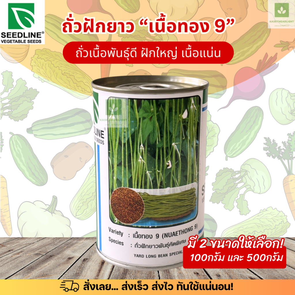 ถั่วเนื้อทองเก้า เมล็ดพันธุ์ ถั่วฝักยาว ถั่วเนื้อ ติดฝักดก ทนโรค seedline เนื้อทอง9