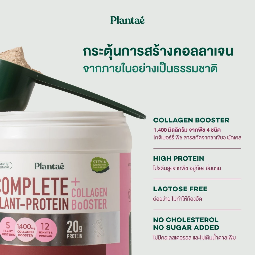 Plantae Complete Plant Protein รส Strawberry กระปุก 800g โปรตีนจากพืช plant based เพิ่มกล้ามเนื้อ โปรตีนสูง แพลนเต้ thumbnail 4