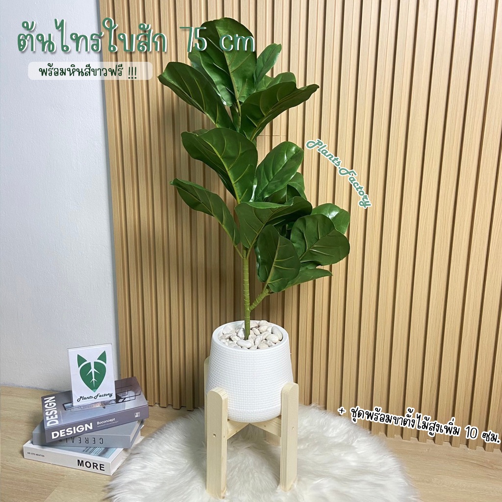 ต้นไม้ปลอม ไทรใบสัก พร้อมกระถางแหละหินสีขาวครบเซ็ต(75cm)🍀