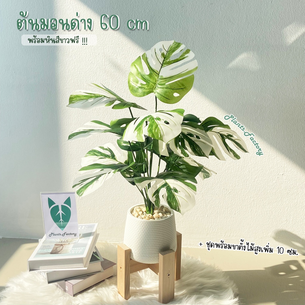 ต้นไม้ปลอม มอนสเตอร่าด่างสูง 60-72 cm ขนาด12ใบฟอร์มสวย🌿(พร้อมกระถางและหินสีขาว)