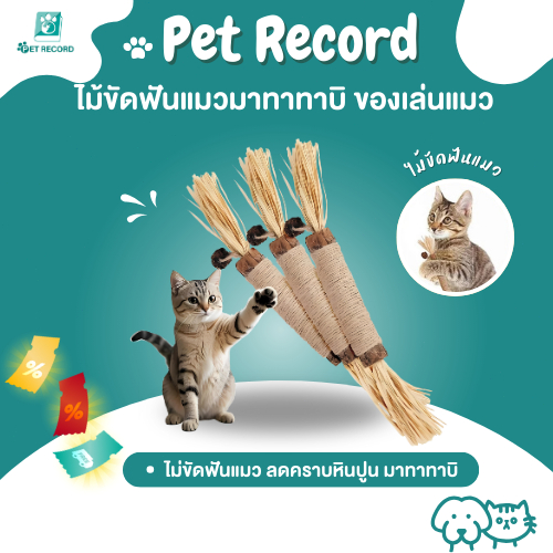 PET Record ไม้แมวเมา มาทาทาบิ ของเล่นแมว ขัดฟัน ลดคราบหินปูน แทะเพลิน ขนาดใหญ่