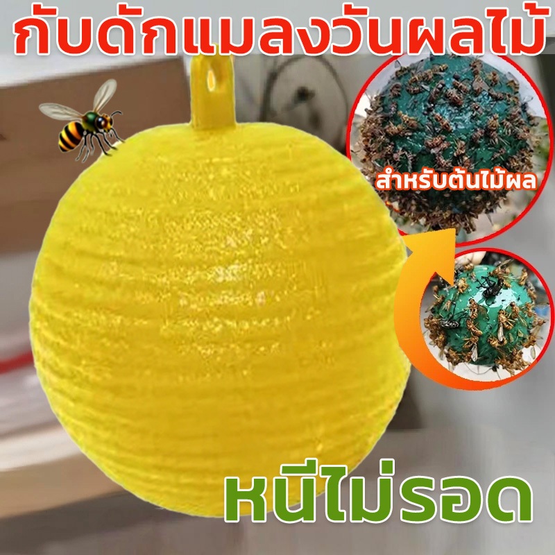 ลูกบอลดักแมลงวัน รุ่นอัพเกรดได้ผล3ปี ไม่ละลายกาว 8ซม.ป้องกันน้ำและแสงแดด สวนผลไม้/สวนผักจำเพาะ กาวดักแมลง