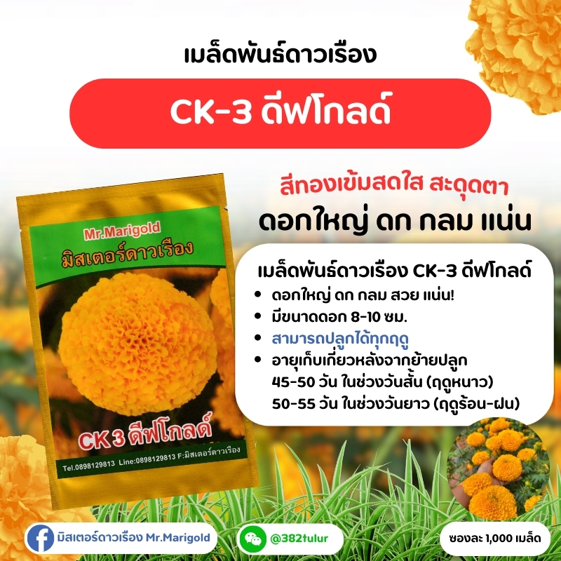 เมล็ดพันธุ์ดาวเรือง CK-3 ดีฟโกลด์ (1,000 เมล็ด)