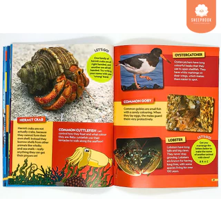 หนังสือความรู้ทั่วไป National Geopraphic Kids: Ocean (i4f5)