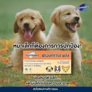 (ยกแพค 50 กล่องเล็ก) FrontGuard Plus ฟรอนท์การ์ด พลัส ผลิตภัณฑ์กำจัดเห็บหมัดสุนัข และแมว 8 สัปดาห์ ขึ้นไป