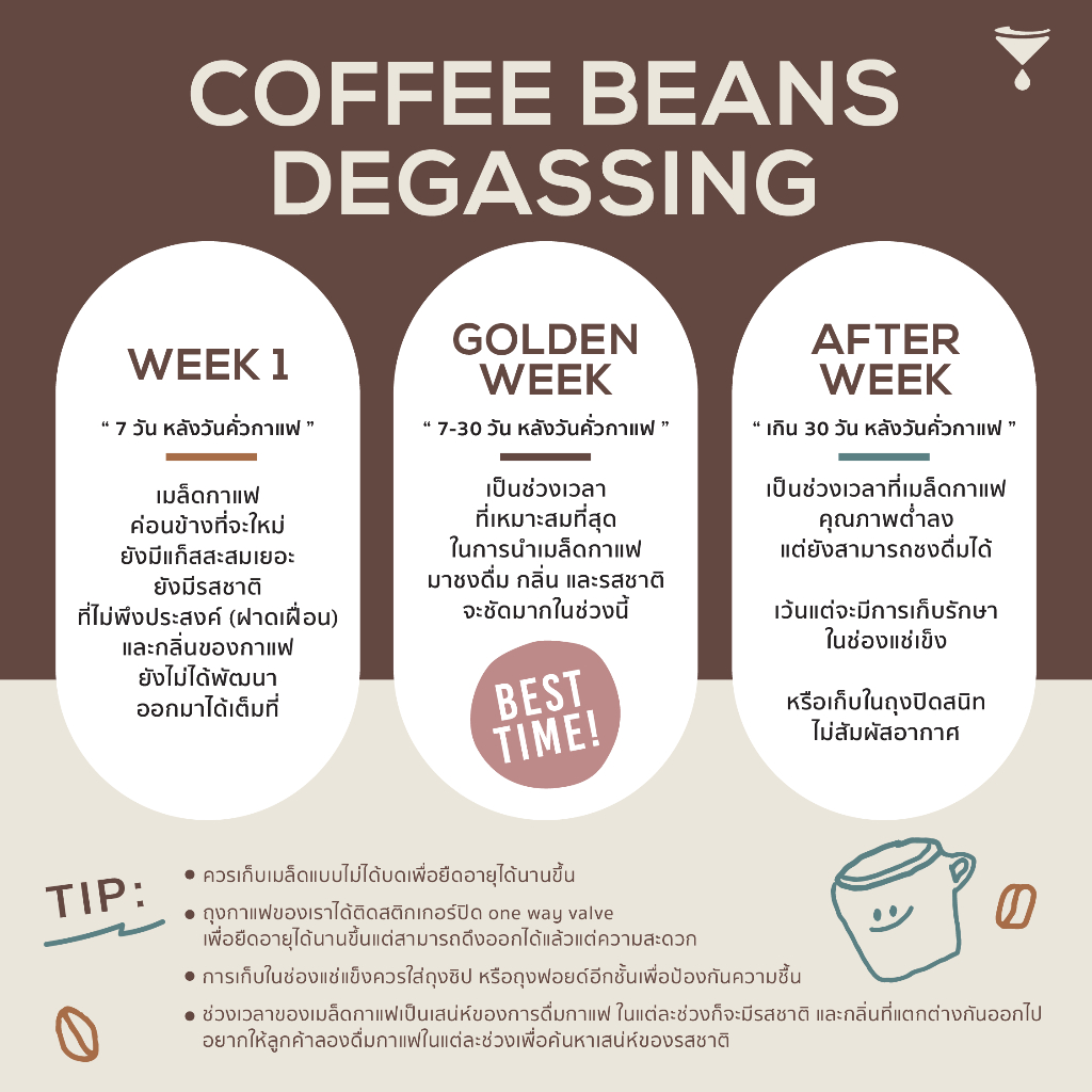 เมล็ดกาแฟคั่วกลาง JING JAI BLEND (ดอยแม่กำปอง จ.เชียงใหม่) ราคา ถูกที่สุด ดีลบีเคเค แกลเลอรีภาพที่ 4