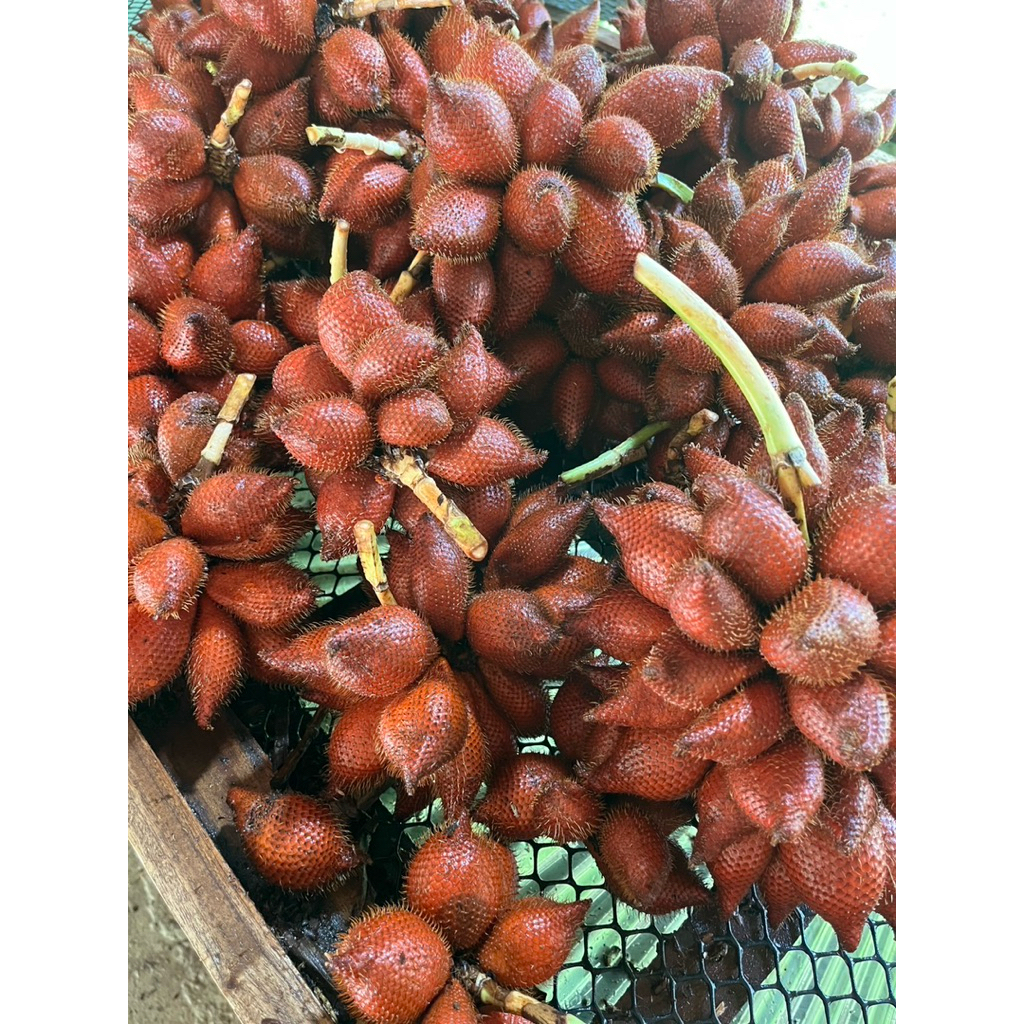 สละสุมาลี ปลอดสาร ออร์แกนิก💯% ( 2 กิโล ) หวานฉ่ำ อร่อย