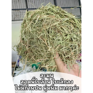 ถุกม๊ากกกกก หญ้าสวยมากค่ะ แนะนำลัคชู‼️ ทิมโมธี เกรดลัคชูรี่ร่อนฝุ่น1กก