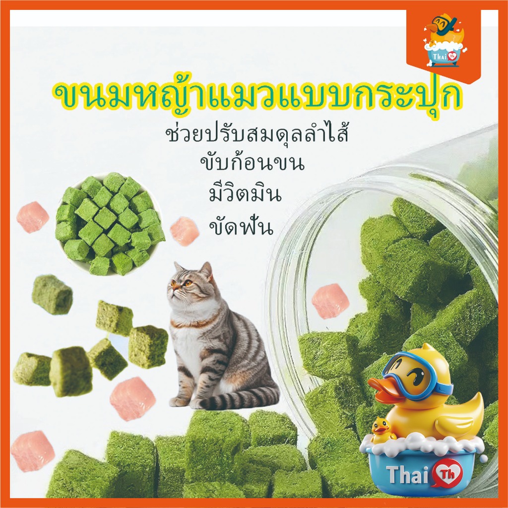 Thai.th  ขนมหญ้าแมว ฟรีซดราย ผลิตจากต้นอ่อนข้าวสาลี หั่นเต๋า Cubebox