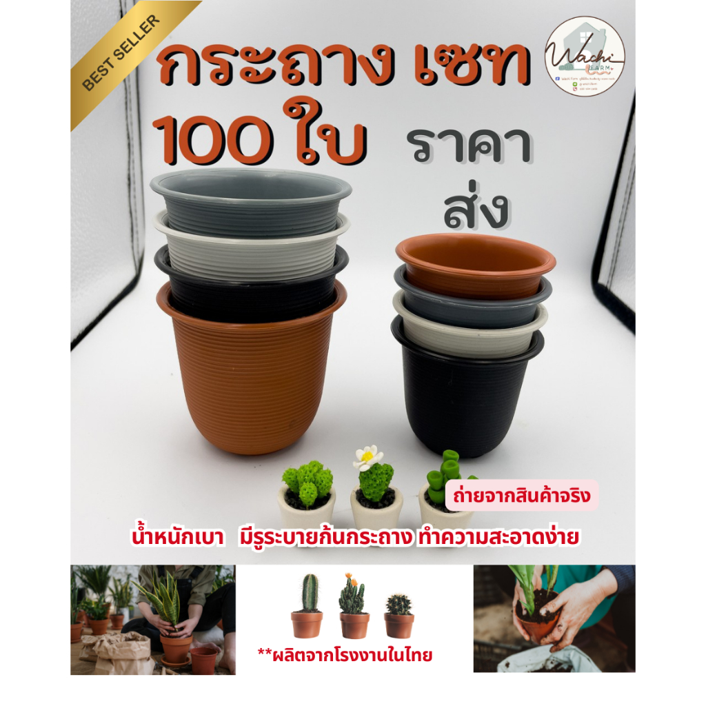 กระถางแคคตัส ทรงกลม ขนาด 2.5 - 3นิ้ว (เซต 50 -100 ใบ)