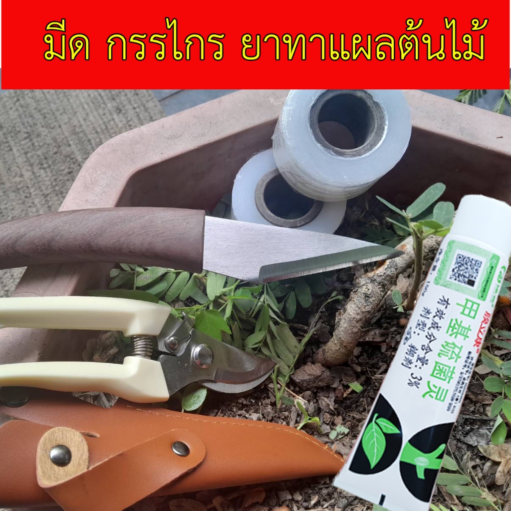 มีดเสียบกิ่งตอนกิ่ง กรรไกรตัดกิ่ง เทปพันกิ่งไม้ น้ำยาทาแผลต้นไม้ อุปกรณ์ตอนไม้ เสียบกิ่งต้นไม้ ชุดอุปกรณ์ตอนต้นไม้