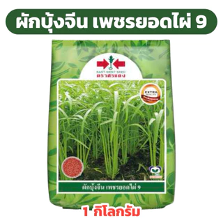 ผักบุ้งจีน เพชรยอดไผ่ 9 ศรแดง 1 กิโลกรัม
