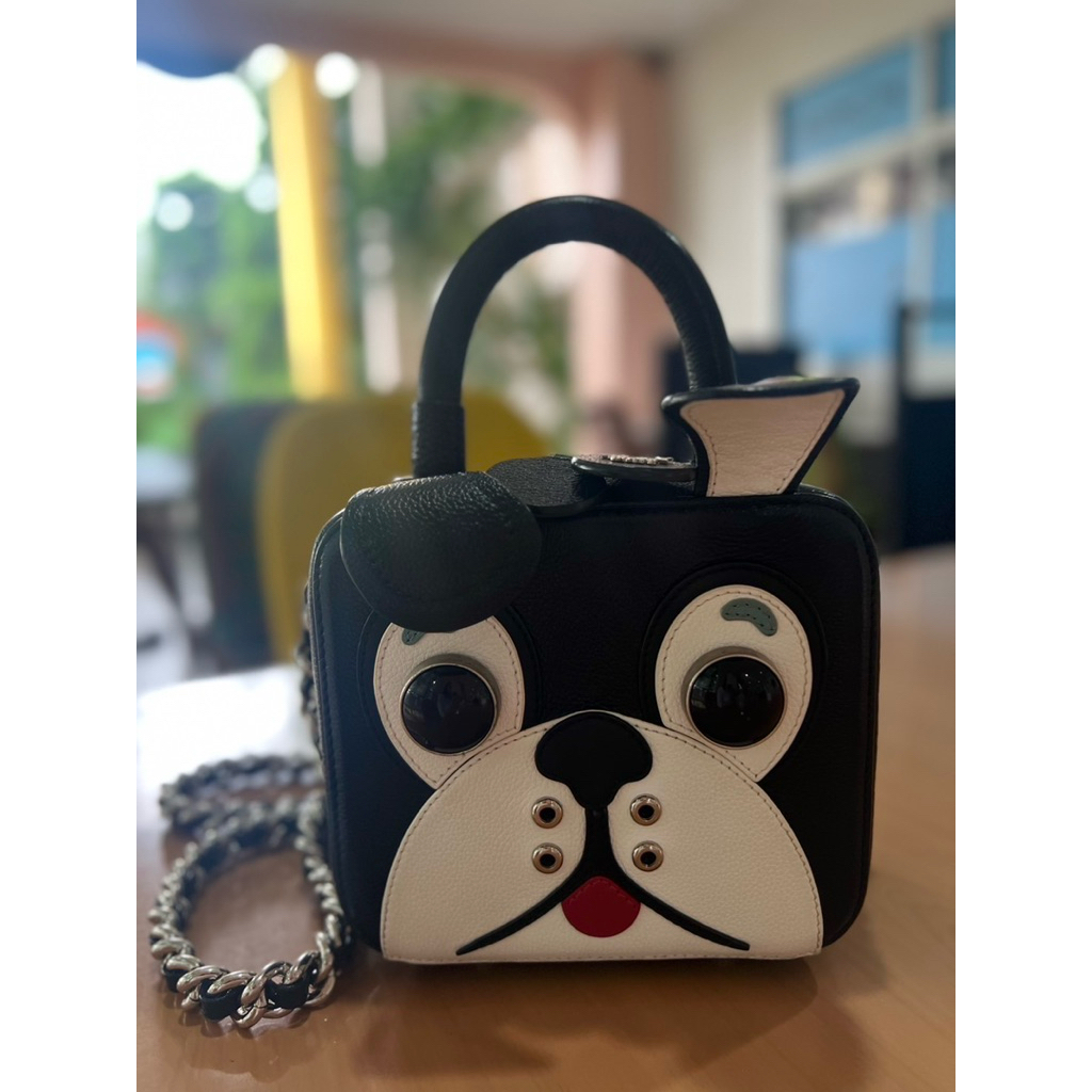 กระเป๋า Ally Bag Thailand (ของแท้) มือสอง