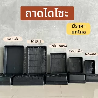 ถาดไดโซะ ถาดทึบ ถาดรู ถูกที่สุด