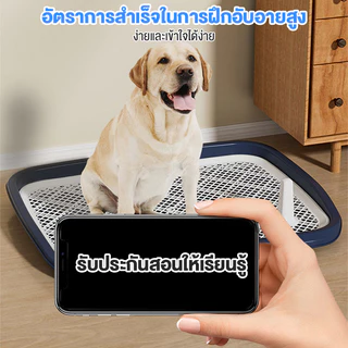 ห้องน้ำสุนัข แผ่นรองฉี่สุนัข ถาดฉี่สุนัข ถาดรองฉี่สุนัข ถาดฉี่สุนัข แบบมีเสา มีตะแกรงรองถาด สำหรับฝึกฉี่สุนัข ถาดรองฉี่ส