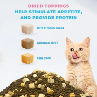 MR.VET Cat Kibble T2 1กก – Rich in Omega-3 สําหรับผิวและเสื้อโค้ทสุขภาพ เหมาะสําหรับแมวทุกวัย