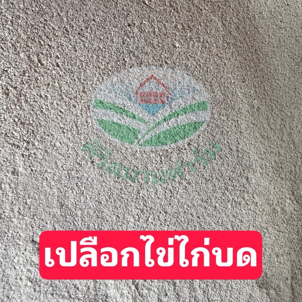 เปลือกไข่บด แหล่งแคลเซียมสูง บำรุงดิน,พืช เร่งราก เหมาะสำหรับปลูกผัก ต้นไม้ ทุกชนิด ปลอดสารเคมี ขนาด500 กรัม 1กิโลกรัม