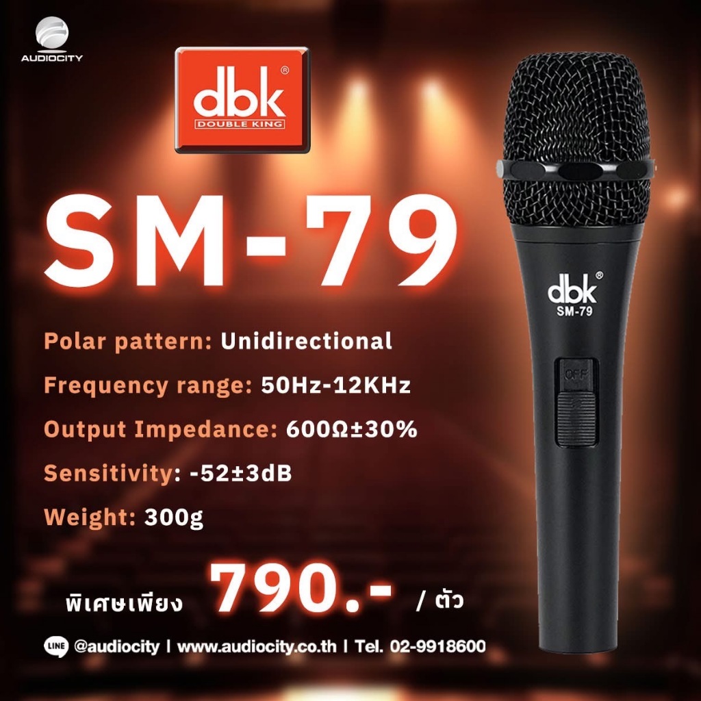 DBK SM-79 ไมค์สีดำ ไมโครโฟนที่เน้นความละเอียดของเสียง ตอบสนองย่านความถี่ที่คมชัดเป็นพิเศษ (ไม่แถมสาย)
