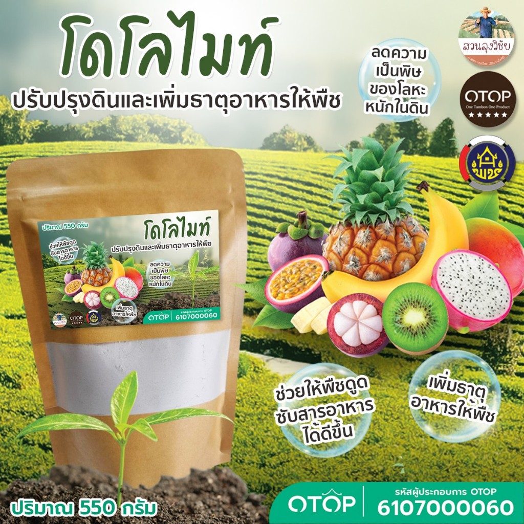 โดโลไมท์ Dolomite เกรดพิเศษ ใช้ปรับสภาพดิน  ดินเสื่อมโทรม เกรดพิเศษ ราคาประหยัด 500 กรัม พร้อม จัดส่งไว แบบ (ซอง)