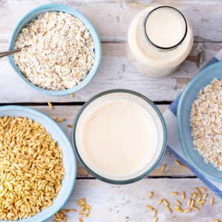 ผงนมข้าวโอ๊ต ขนาด 100 กรัม (Oat Milk Powder) เหมาะสำหรับผู้ที่ แพ้ Lactose