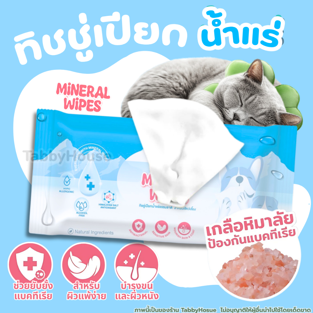 ทิชชู่เปียก Dog Days & Cat Days Wipe ปราศจากแอลกอฮอล์ เพื่อความปลอดภัยในทุกสัมผัส