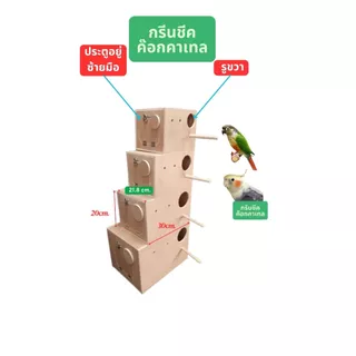 กล่องนก,รังเพาะนก,หงษ์หยก,เลิฟเบิร์ด,กรีนชีค,ซันคอร์นัว